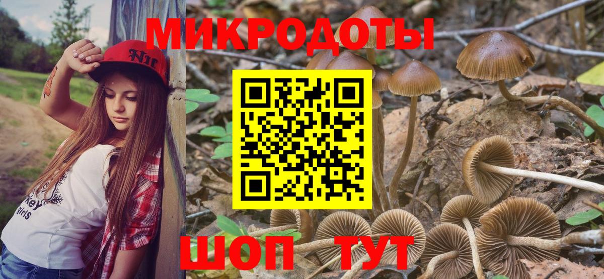Кузнецк  Галлюциногенные грибы прущие грибы  Вход с VPN 
